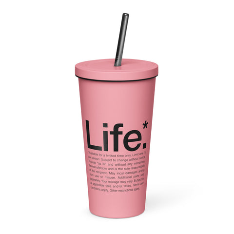 steel insulated tumbler with lid and straw