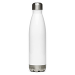 17oz stainless bottle